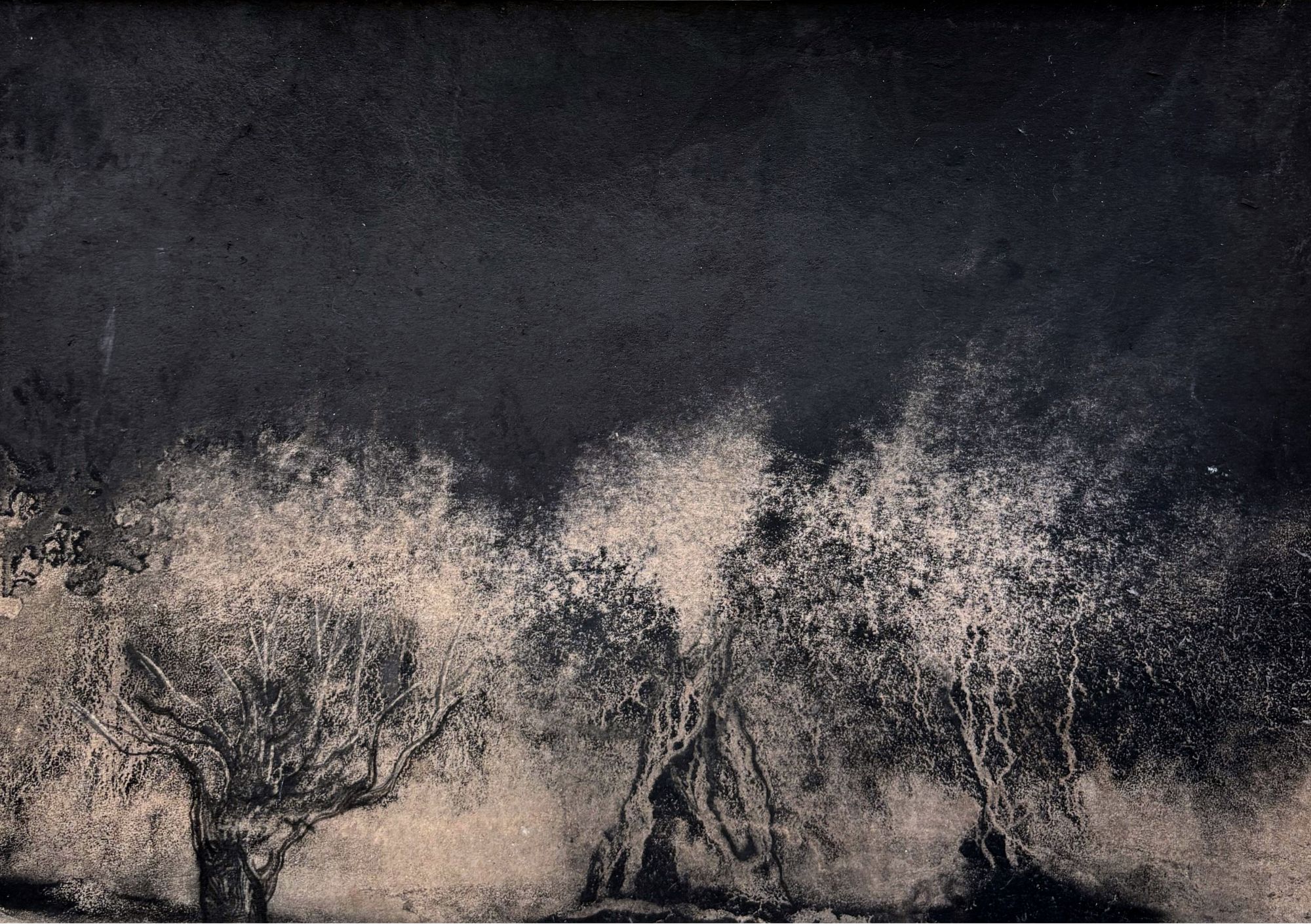 Nathalie Bourdreux