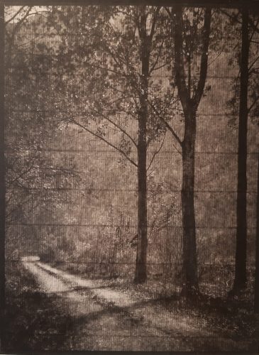 Martin Becka, Sans titre, de la série Territoire, tirage contact palladium d'après négatif papier ciré (procédé le Gray), 1/5, 24 x 18 cm
