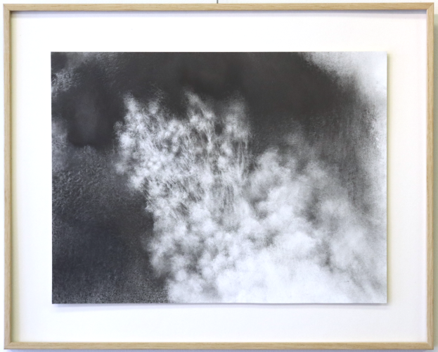 Mélissande Herdier, Les corneilles connaissent l'espoir, poudre de graphite sur papier trempé, 30 x 40 cm, 2022