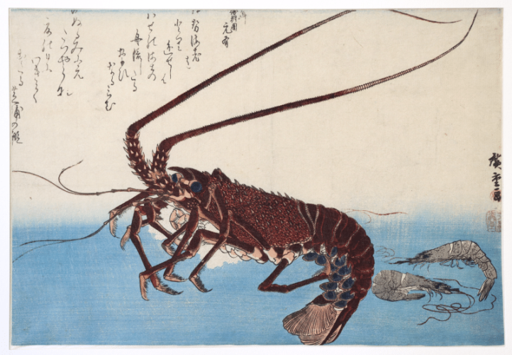 Homard et crevettes, de la série Poissons, gravure sur bois nishiki-e, format oban yoko-e, légèrement rognée, circa 1830
