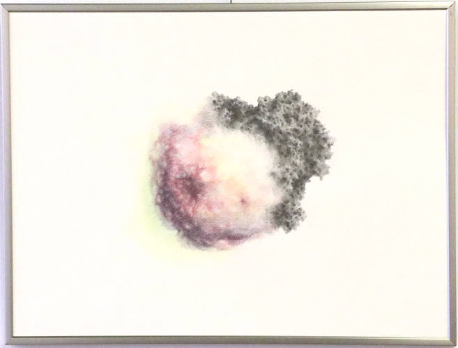 Mélissande Herdier, Fonction inconnue n°1, crayon de couleur et mine graphite sur papier, 30 x 40 cm, 2022